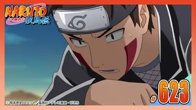 NARUTO-ナルト- 疾風伝 2015年放送 第六百二十三話 諦めないド根性
