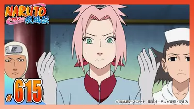NARUTO-ナルト- 疾風伝 2015年放送 第六百十六話 三つの問題｜アニメ