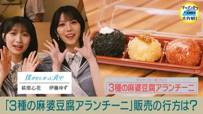 朝食屋さん様Alden964★サイズ7.5E★バーガンディ★カーフレザー★Uチッ キッチンカー大作戦！ 9月11日(金)放送分 「3種の麻婆豆腐アランチーニ