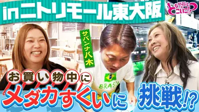 クレイジージャーニー 6月15日(月)放送分 昆虫コンビ島田拓・丸山宗利