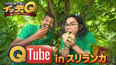 ウチ、“断捨離”しました！ 4月28日(火)放送分 「隠しグセ再燃！捨て