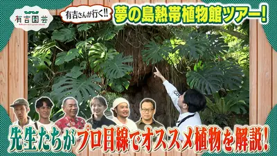 ウチ、“断捨離”しました！ 6月2日(火)放送分 「大阪発！両親から