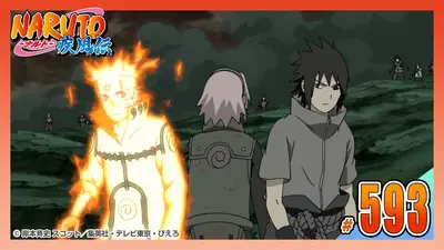 NARUTO-ナルト- 疾風伝 2014年放送 第五百九十三話 第七班、集結