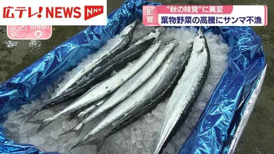 日テレNEWS NNN 10月8日(木) 19:53 ”秋の味覚”に異変 サンマ不漁 広島