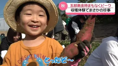 日テレNEWS NNN 9月22日(火) 18:53 秋の加賀野菜”五郎島金時”収穫体験