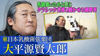未来CHO人図鑑 1月22日(木)放送分 東日本乳酸菌弦楽団 大平源賢太郎（1