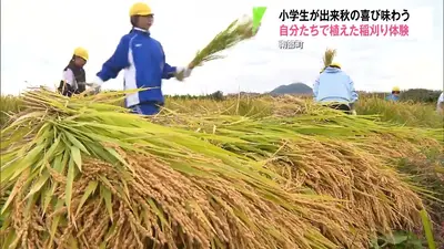 日テレNEWS NNN 9月28日(月) 16:46 つがる市の吉田遺跡で県内初となる