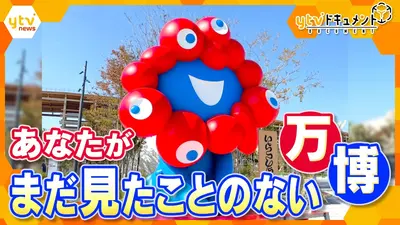 厳選！ytvニュース特集 11月24日(月)放送分 【完全保存版】熱狂の184