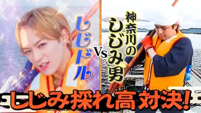 ジャスミンです。佐田の海 朝乃山 sddefault.jpg