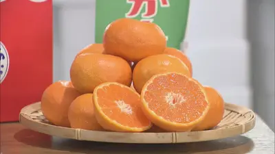 日テレNEWS NNN 7月14日(火) 11:58 平均糖度が12度以上 「蒲郡温室