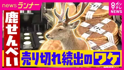 鹿の角 まとめ売り早く売りたいので値下げします newsランナー 6月30日(火)放送分 売り切れ相次ぐ“鹿せんべい” 製造所は