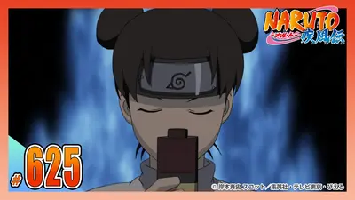 NARUTO 662話〜最終回 外伝10話 週刊少年ジャンプ 2014 2015 NARUTO-ナルト- 疾風伝 2015年放送 第六百二十五話 閉じ込められた二人