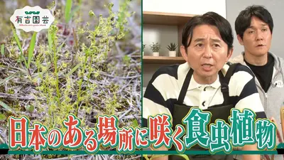 ウチ、“断捨離”しました！ 9月8日(火)放送分 ママにゆとりを！ 「いる
