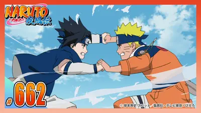 NARUTO-ナルト- 疾風伝 2015年放送 第六百六十二話 互いの道｜アニメ
