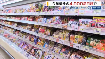 日テレNEWS NNN 8月31日(月) 20:12 「消費減税しても効果が…」秋の