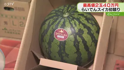 日テレNEWS NNN 6月10日(水) 6:32 過去最高値2玉40万円！天候恵まれ