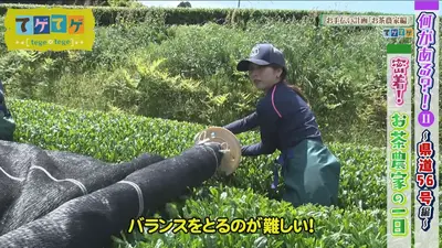 てゲてゲ 5月6日(水)放送分 「県道56号の旅」「お手伝い計画