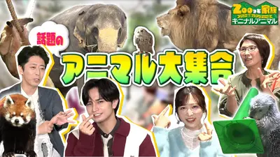 Zooっと家族 フット後藤＆ケンティーのキニナルアニマル 11月3日(月