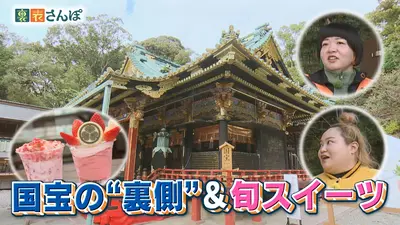 しずおか裏表さんぽ 1月30日(金)放送分 静岡市・久能街道「国宝の“裏側