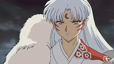 犬夜叉 2004年放送 #156「墓前決戦! 殺生丸VS犬夜叉」｜アニメ