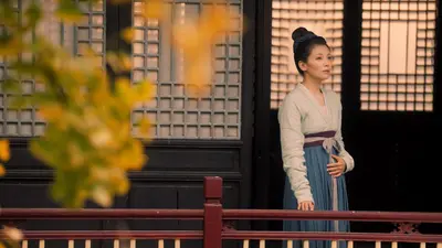 【華流ドラマ】DVD『大宋宮詞〜愛と策謀の宮廷絵巻』(全話) レンタル落ち Amazon.co.jp: 大宋宮詞~愛と策謀の宮廷絵巻~DVDBOXI : リウ・タオ