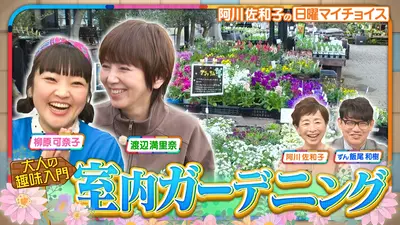 日曜マイチョイス 3月22日(日)放送分 【渡辺満里奈＆柳原可奈子が室内