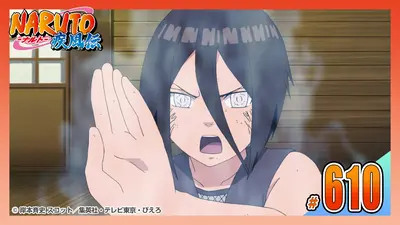 NARUTO-ナルト- 疾風伝 2014年放送 第六百十三話 本当の終わり｜アニメ