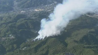 日テレNEWS NNN 5月17日(日) 20:06 山林火災が発生 延焼続く 廃材の火
