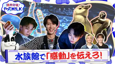 限界突破！やってM!LK 12月18日(木)放送分 水族館で感動を伝えろ