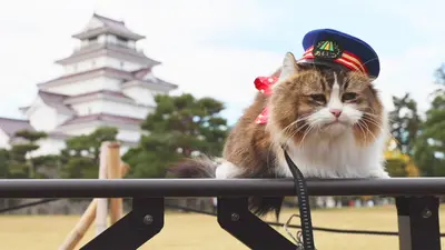 ふにゃ～り日和 12月2日(火)放送分 Vol.89 お祝いのヘッドマークだにゃ