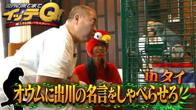 世界の果てまでイッテQ！ 3月22日(日)放送分 13年ぶり名作復活!オウム