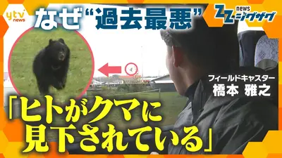 熊々様　相談用 Shocking video! Bear crashes into car in city and escapes - YouTube