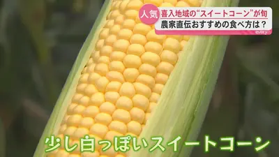 コーンさんページ　⭐︎6点おまとめ⭐︎ 日テレNEWS NNN 5月25日(月) 19:23 強い甘さが特長の”スイートコーン