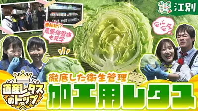 あぐり王国北海道NEXT 7月25日(土)放送分 江別市のレタスに注目！安心