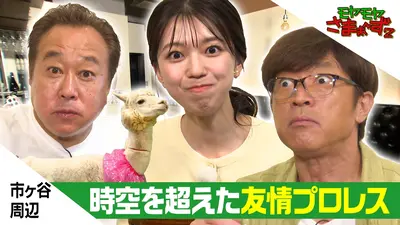 モヤモヤさまぁ～ず2 11月8日(土)放送分 市ヶ谷周辺で謎アルパカ＆謎