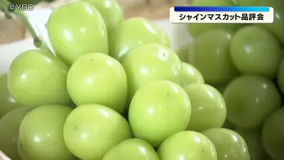 日テレNEWS NNN 9月29日(火) 12:24 山形県内で今が収穫最盛期 シャイン