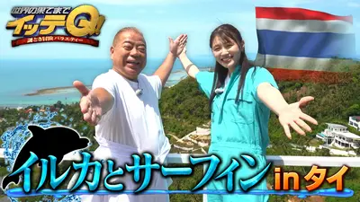 世界の果てまでイッテQ！ 9月20日(日)放送分 【出川&塚本】野生イルカ