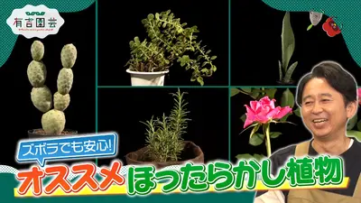 夢が咲く 有吉園芸～Road to start a garden shop～ 11月4日(火)放送分