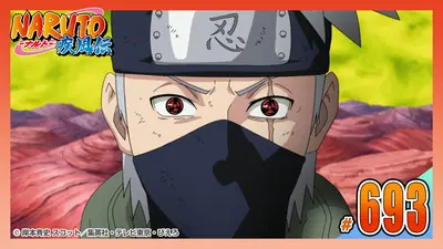 NARUTO-ナルト- 疾風伝 2016年放送 第六百九十二話 お前は必ず｜アニメ