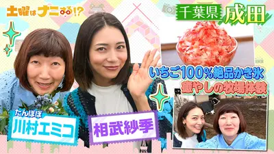 土曜はナニする！？日帰りぷらっとりっぷ 7月11日(土)放送分 相武紗季
