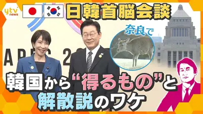 たかさん✨️8.8出国❤韓国推しの旅　専用 期限6月16日までに 厳選！ytvニュース特集 1月12日(月)放送分 【タカオカ解説】奈良で日韓