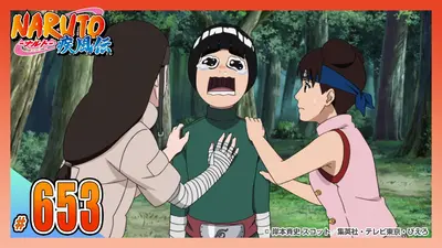 NARUTO-ナルト- 疾風伝 2015年放送 第六百五十三話 出撃・探索任務