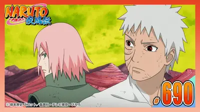 NARUTO-ナルト- 疾風伝 2016年放送 第六百九十二話 お前は必ず｜アニメ