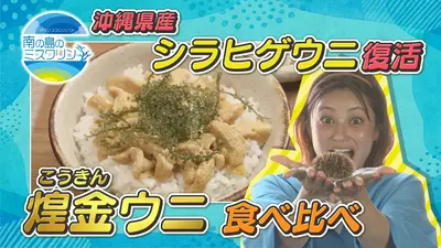 ニッポンの凄腕漁師2025 10月26日(日)放送分 屋久島秘伝！空飛ぶ