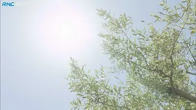 日テレNEWS NNN 5月18日(月) 18:45 多くの地点で真夏日 熱中症で死者も