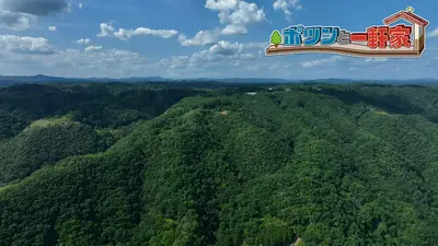 大型 5樹石付き盆栽】 ⭕深岩山にポツンと一軒家❗ ポツンと一軒家