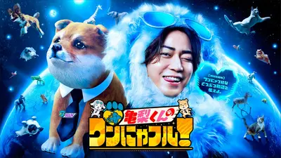 亀梨くんのワンにゃフル！｜バラエティ｜見逃し無料配信はTVer！人気の