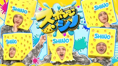 スポンジ・シノ 9月6日(日)放送分 真夏の超吸収フェス｜バラエティ