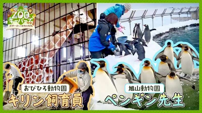 北海道ZOOキーパーズ～世界一近い！動物の素顔～｜報道