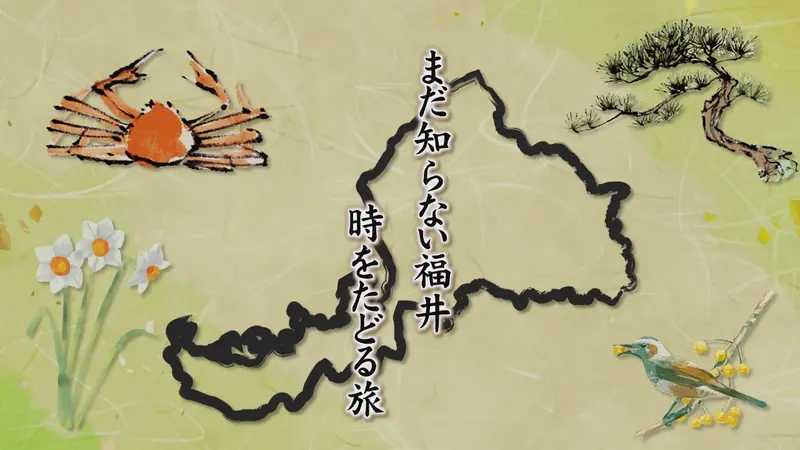 まだ知らない福井 時をたどる旅｜その他｜見逃し無料配信はTVer！人気